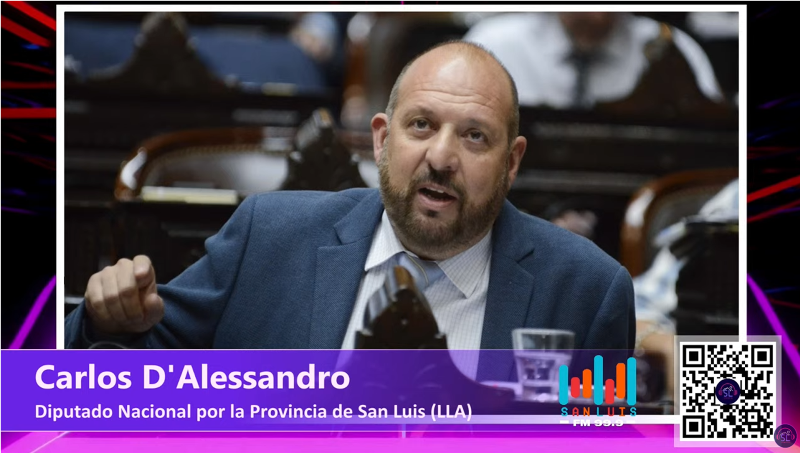 «Carlos D’Alessandro: ‘Las PASO son un gasto irresponsable y hay que eliminarlas’»